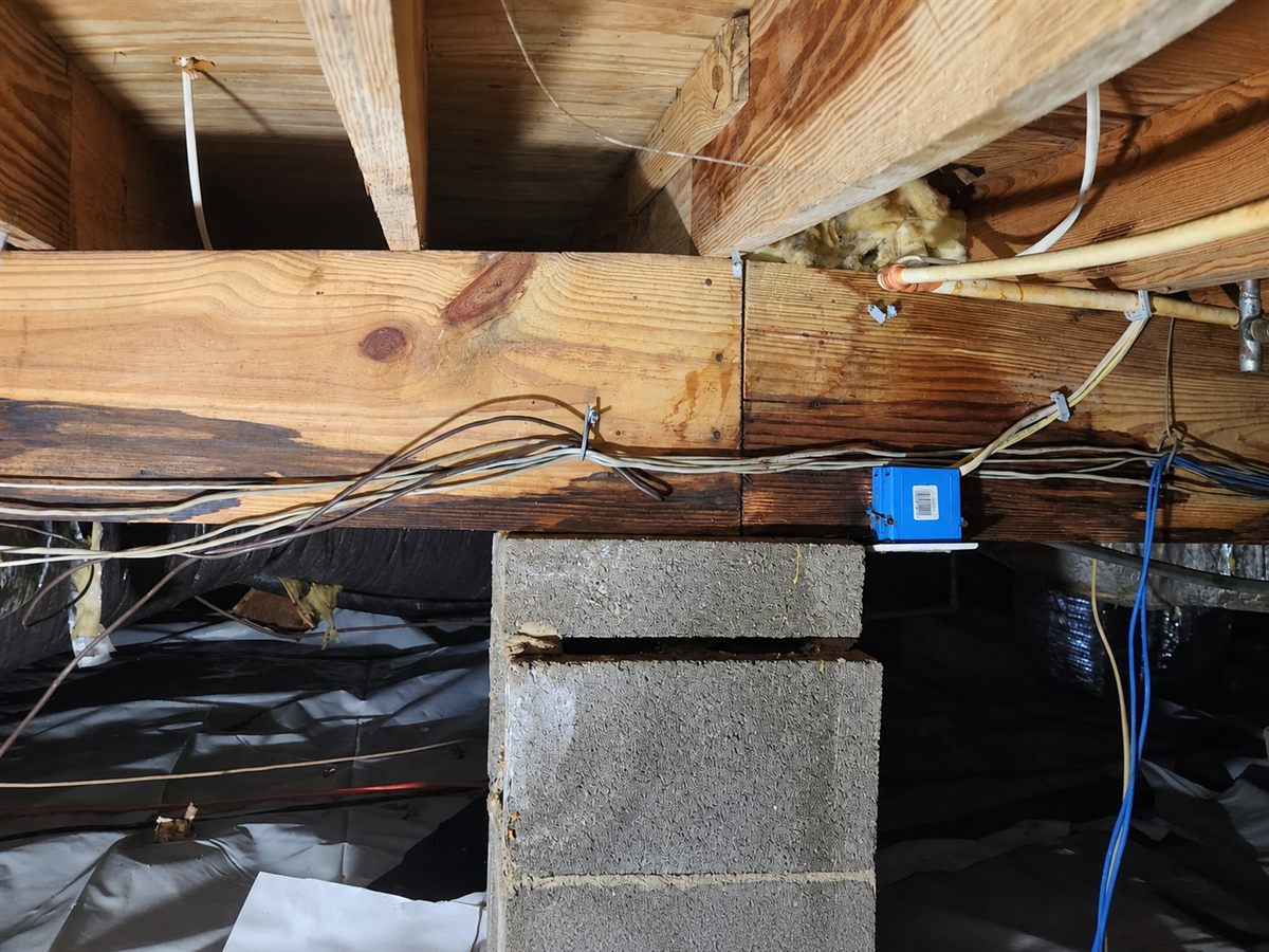 Home inspection view of a crawlspace, support blocks, wiring, and floor framing